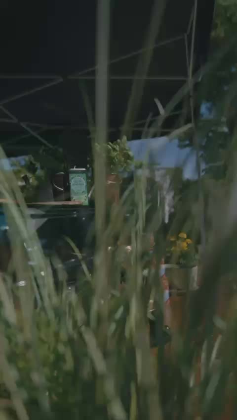 Reel 5